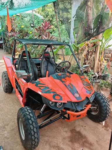 buggy8
