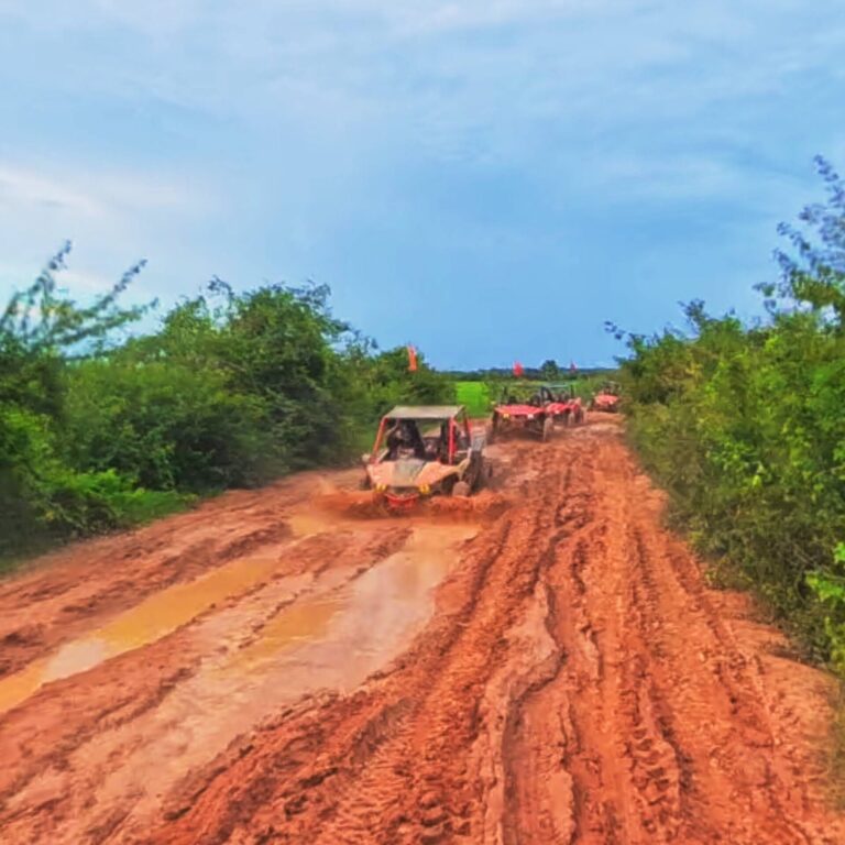 The Ultimate Land & Water Adventure: Countryside Buggy & River Cruise