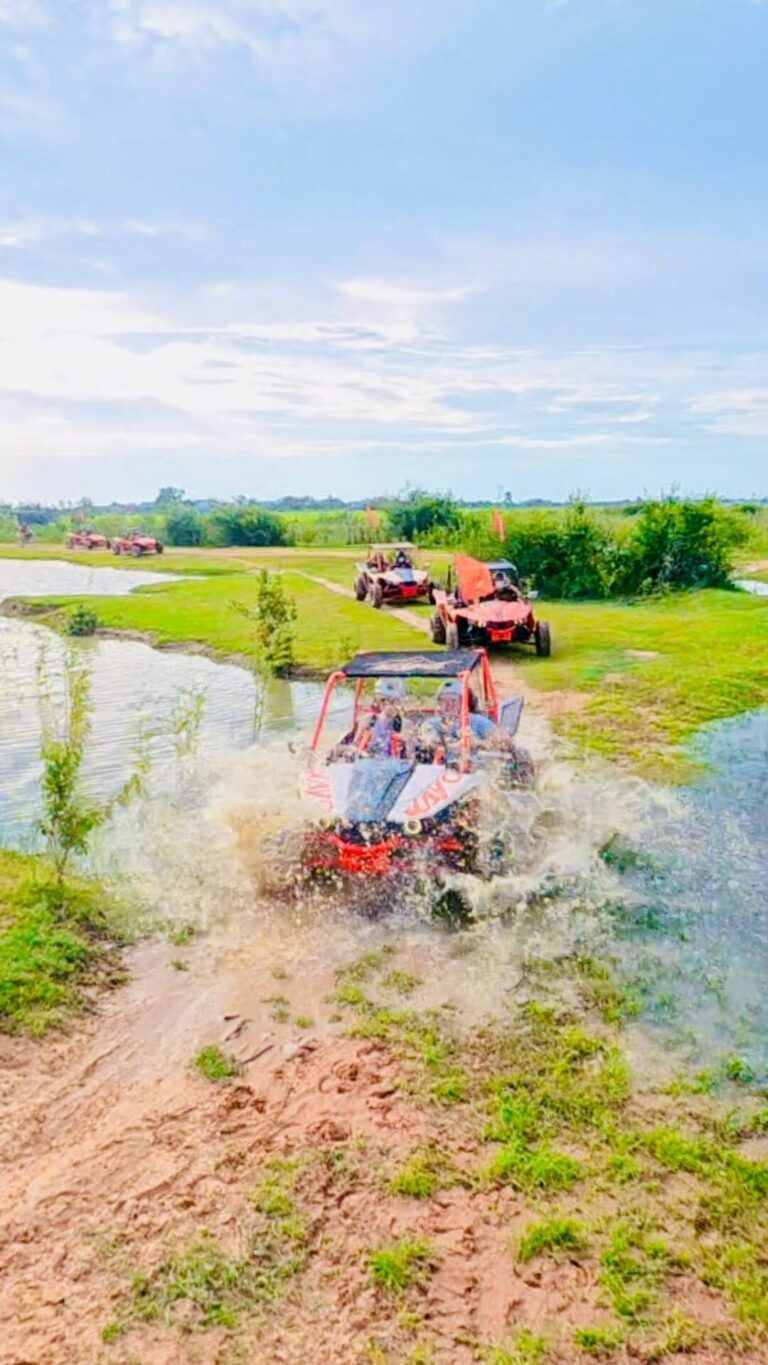 4 Hour Buggy Explorer
